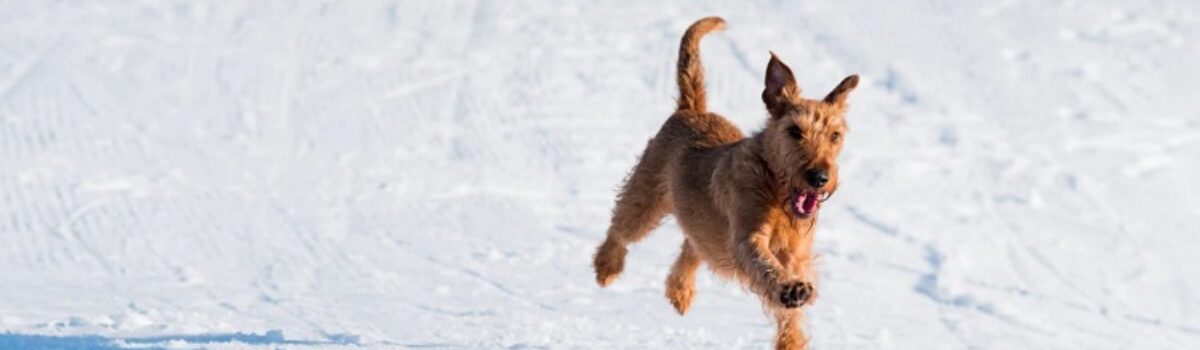 Moving To A Ski City