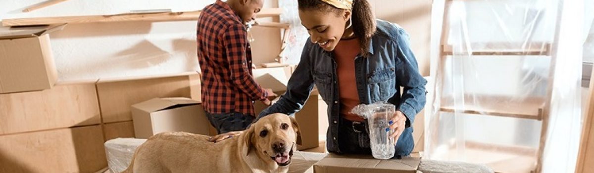 Relocating with Pets