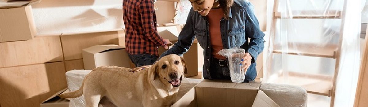 Relocating with Aged Pets