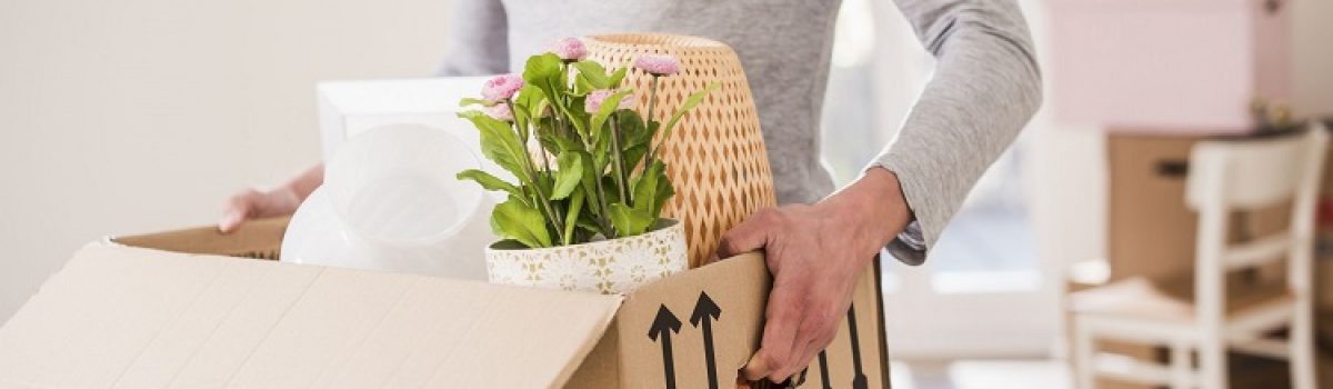 Mitigating the Risk of Identity Larceny