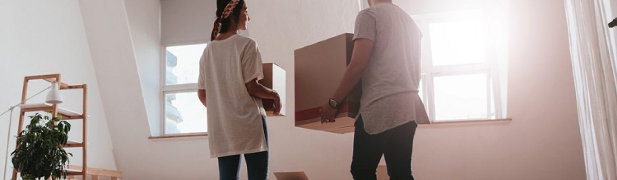 Mitigating the Risk of Identity Larceny