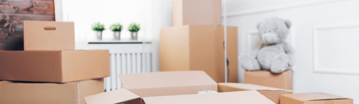 Shedding Belongings Using Storage Units