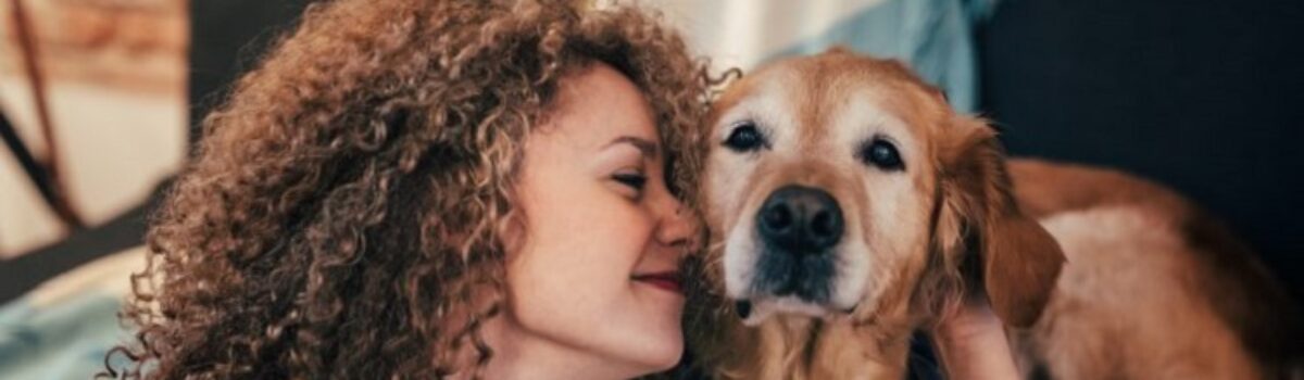 Singling Out Metropolises that are Conducive for Your Fur Baby